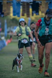 BIB: 
                            <button type="button" onclick="openModal(26800022)" class="btn btn-primary btn-sm float-right btn-popup" data-toggle="modal" data-target=".modal-high-quality">
                        <i class="fas fa-shopping-cart"></i> Add to Cart
                    </button>
                                            <button type="button" onclick="isThisMe(26800022, true)" class="btn btn-success btn-sm float-right btn-popup btn-isme hidden" data-toggle="tooltip" data-placement="bottom" title="นี่คือรูปของคุณใช่ไหม คลิกที่นี่เพื่อเอาเข้าอัลบั้ม">
                        <i class="fas fa-plus"></i> Add to album
                    </button>
                    <button type="button" onclick="isThisMe(26800022, false)" class="btn btn-warning btn-sm float-right btn-popup btn-isnotme hidden">
                        <i class="fas fa-ban"></i> Remove from album
                    </button>